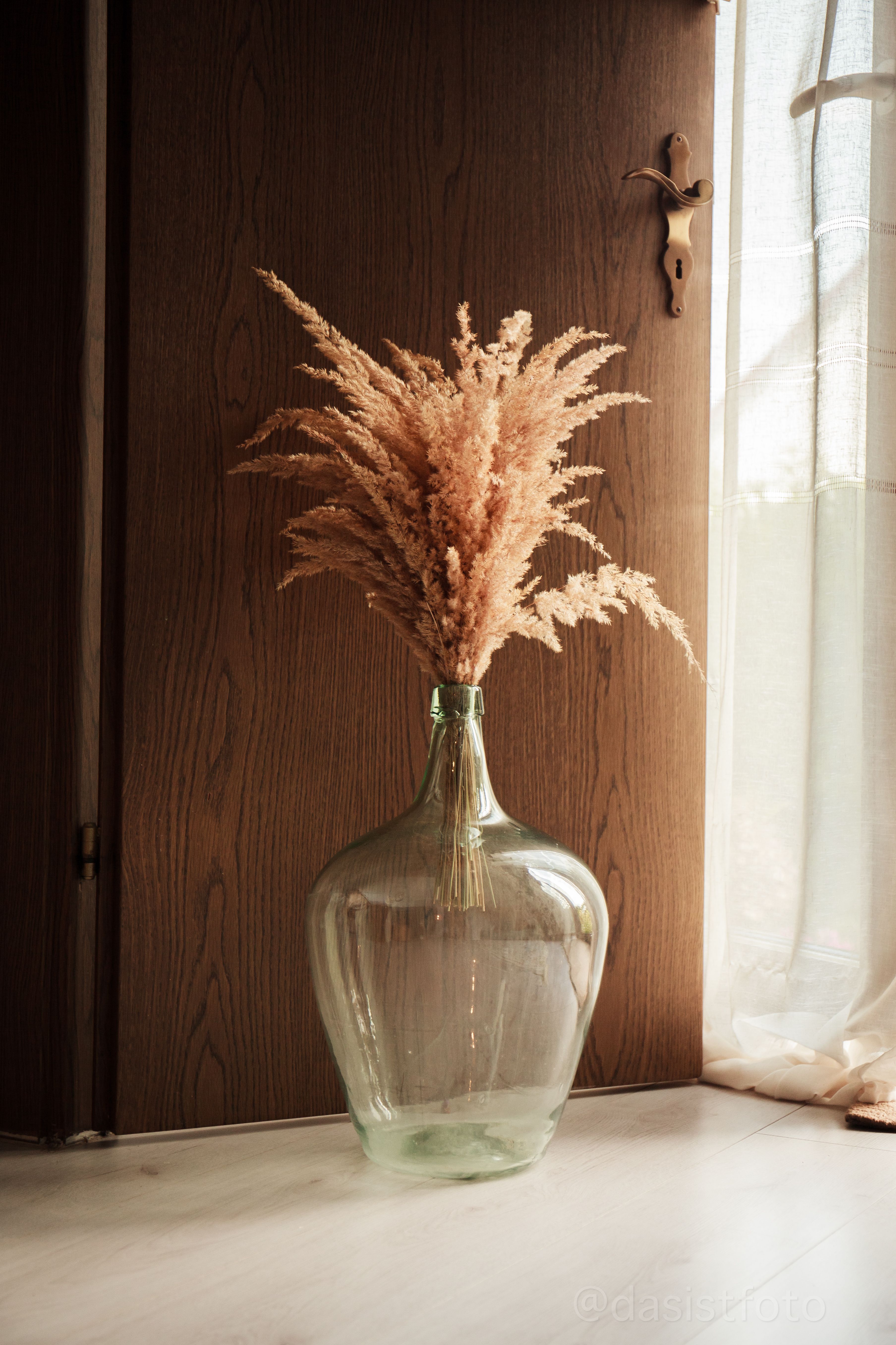 Sofia — Im Licht — Studio · Frankfurt · Bewegung